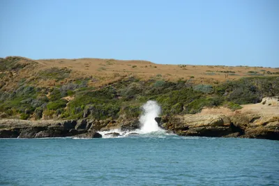 DSC_2639 (Large).JPG